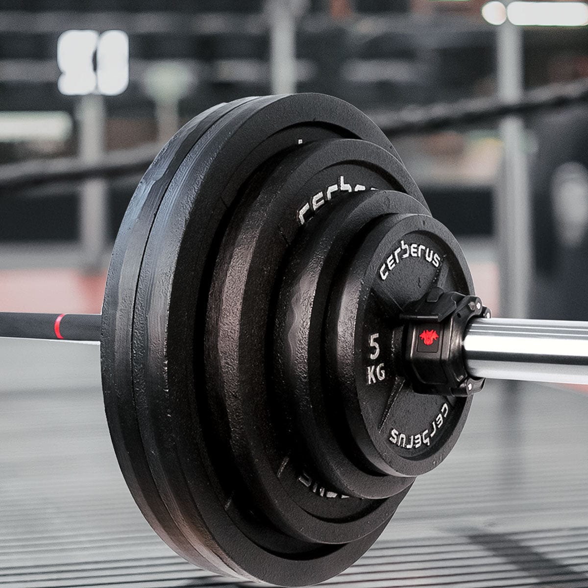 CERBERUS Cast Iron Olympic Plates (EU) - Image 2