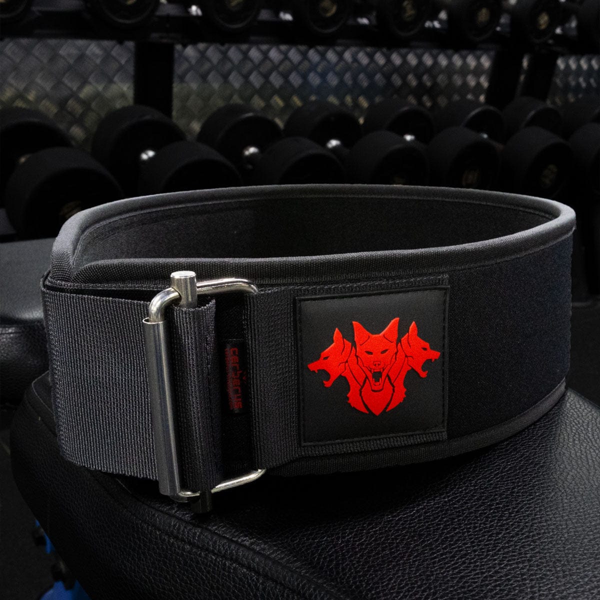 EVA-LUTION Weightlifting Belt - Image 8