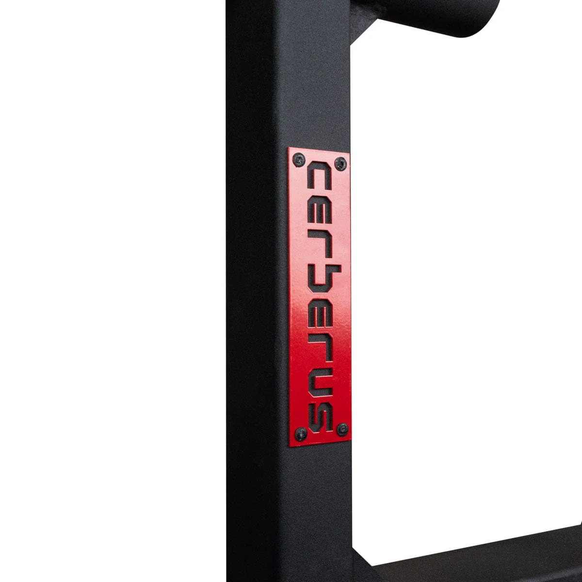Silver Dollar Deadlift Attachments - Image 7