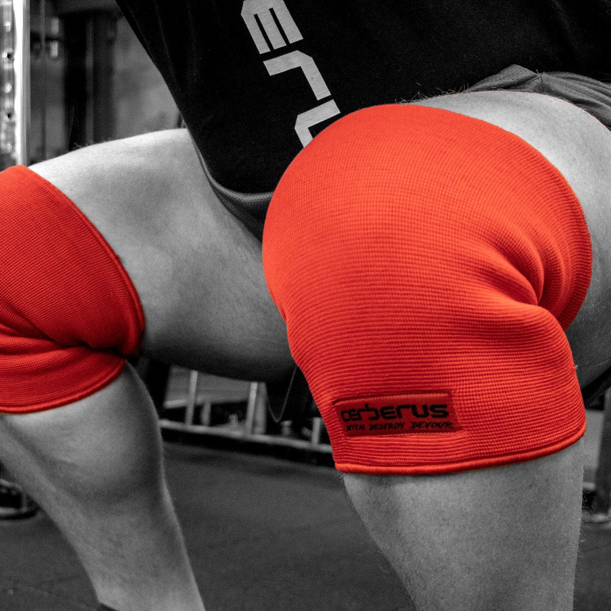 Triple-Ply Knee Sleeves - Image 2