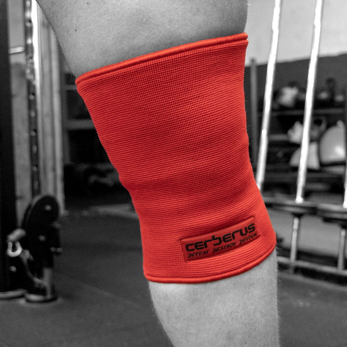 Triple-Ply Knee Sleeves - Image 3